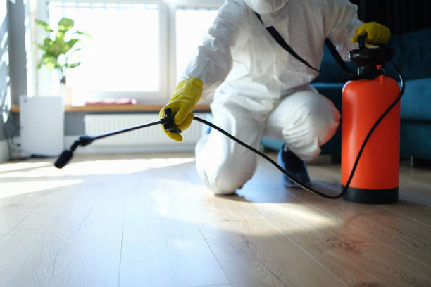 Best Termite Control Services  in University Of Virginia, VA