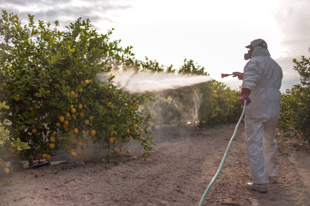 Best Exterminator Services  in University Of Virginia, VA