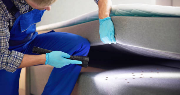 Best Emergency Pest Control  in University Of Virginia, VA