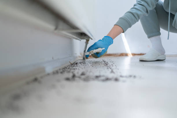 Trusted University Of Virginia, VA Pest Control Experts